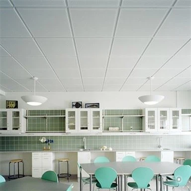 Beyaz PVC Tavan Levhaları
